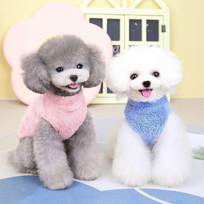 Combinaison élastique Lighteme avec anneau de traction pour chiots et chats