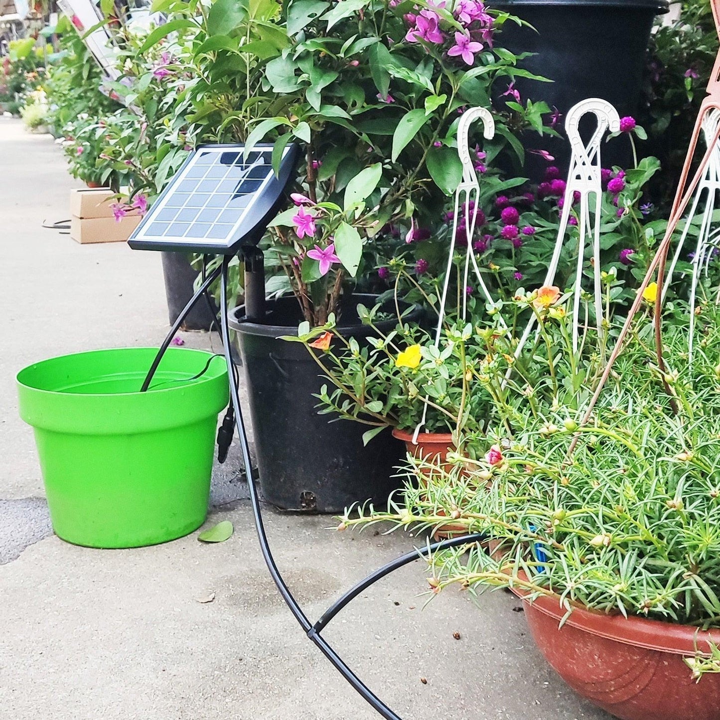 Arrosage solaire Lighteme Ne vous souciez plus jamais de vos plantes !