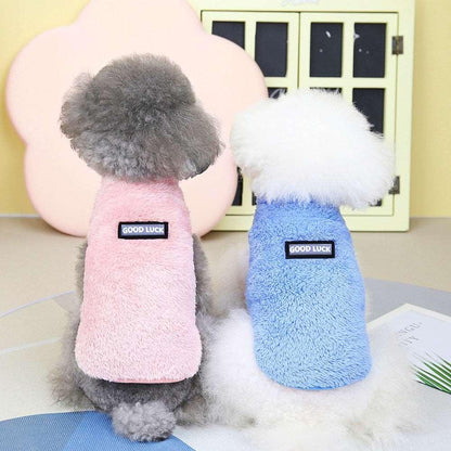 Combinaison élastique Lighteme avec anneau de traction pour chiots et chats