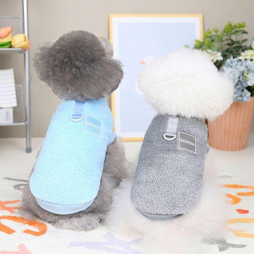 Combinaison élastique Lighteme avec anneau de traction pour chiots et chats