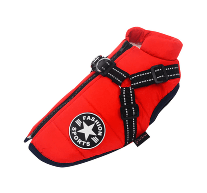 Harnais pour chien Lighteme 3 en 1