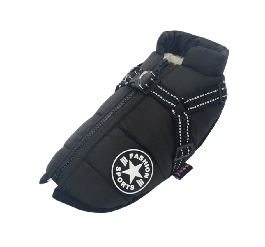 Harnais pour chien Lighteme 3 en 1