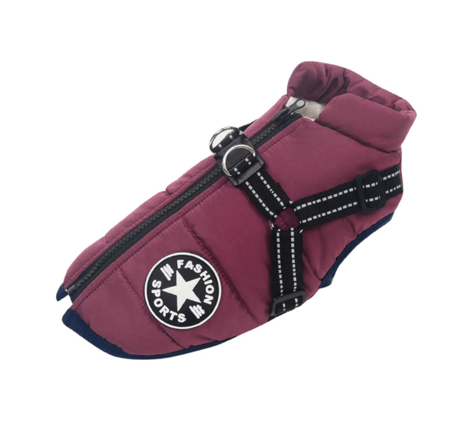 Harnais pour chien Lighteme 3 en 1
