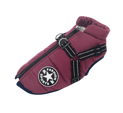 Harnais pour chien Lighteme 3 en 1