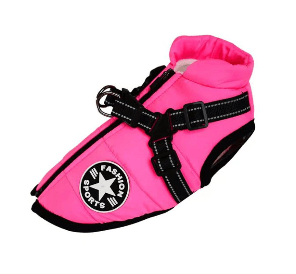 Harnais pour chien Lighteme 3 en 1