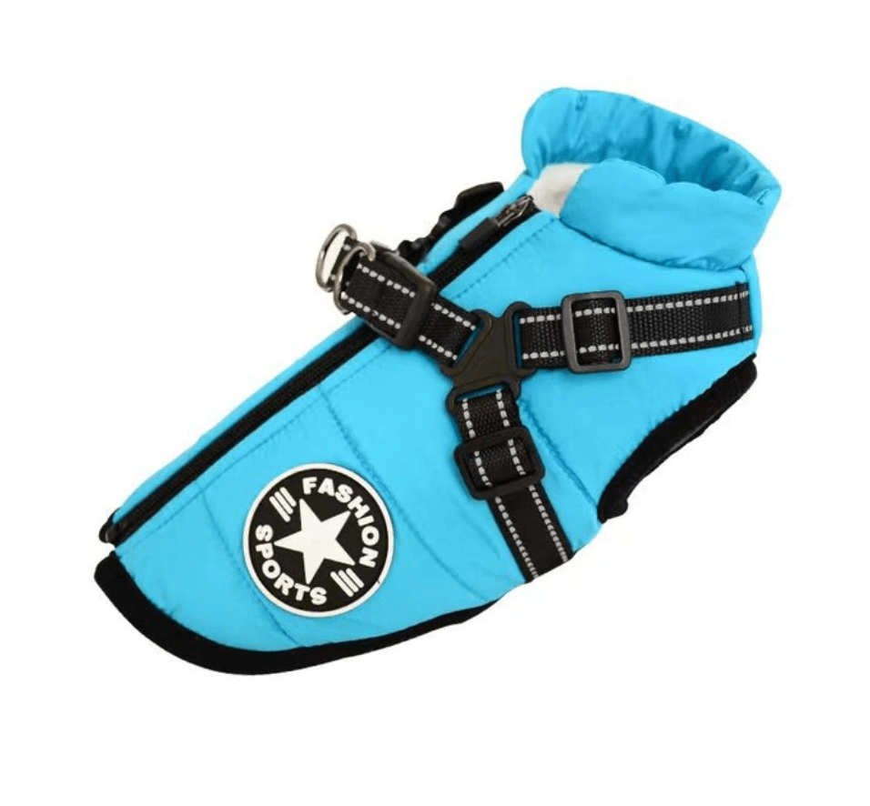 Harnais pour chien Lighteme 3 en 1