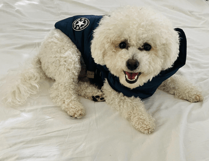 Harnais pour chien Lighteme 3 en 1