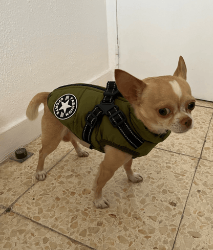 Harnais pour chien Lighteme 3 en 1