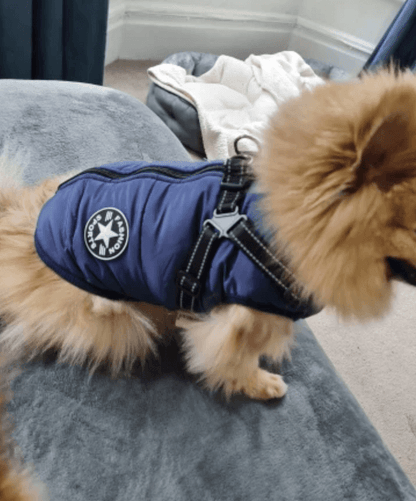 Harnais pour chien Lighteme 3 en 1