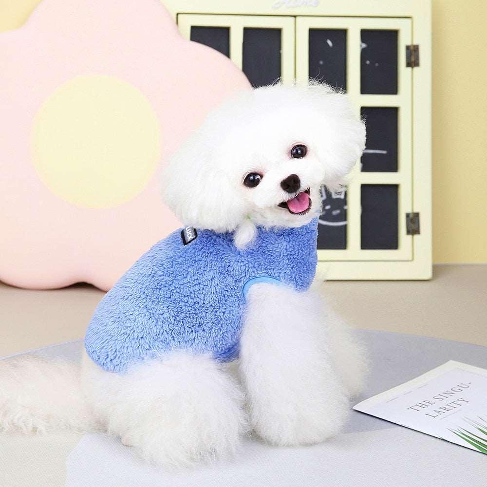 Combinaison élastique Lighteme avec anneau de traction pour chiots et chats