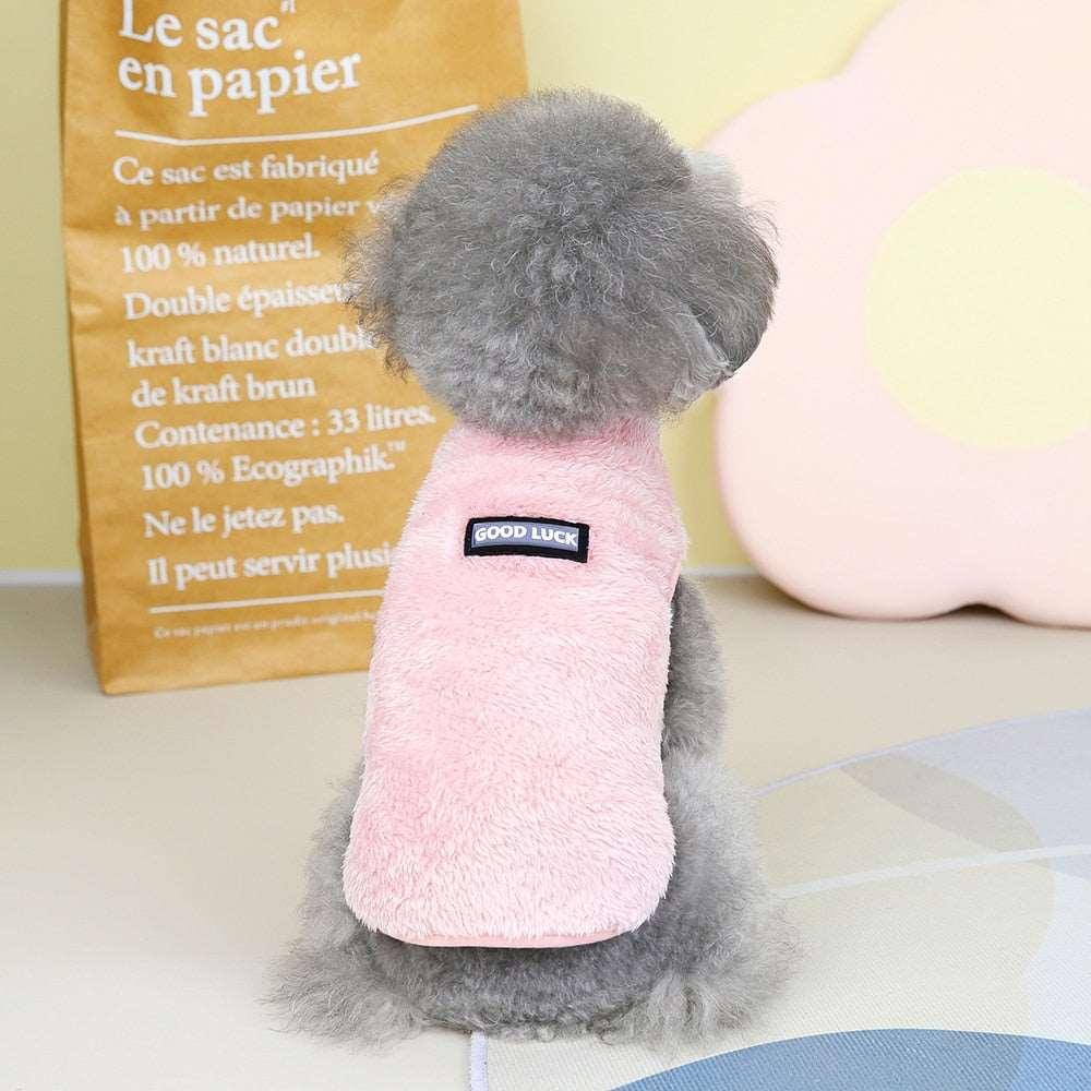 Combinaison élastique Lighteme avec anneau de traction pour chiots et chats