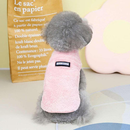 Combinaison élastique Lighteme avec anneau de traction pour chiots et chats
