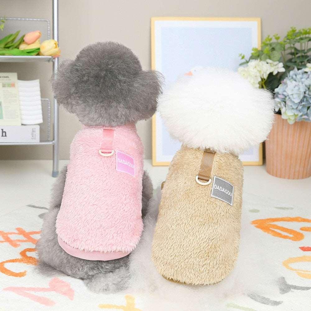Combinaison élastique Lighteme avec anneau de traction pour chiots et chats