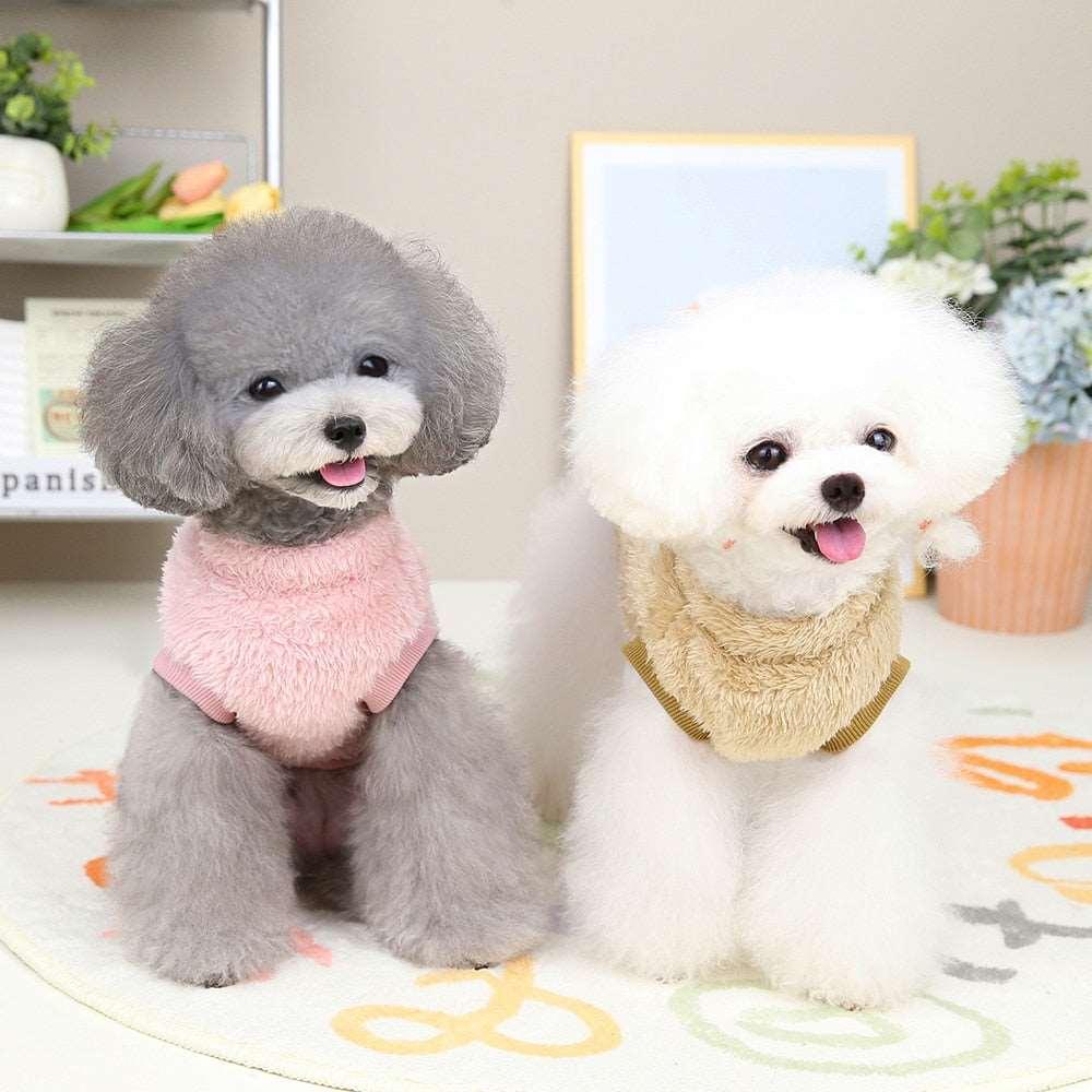 Combinaison élastique Lighteme avec anneau de traction pour chiots et chats