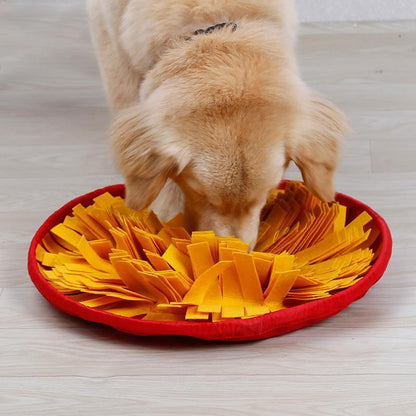 Lighteme Schnüffelpad Hunde-Energie-Lernnapf (4 Farben)