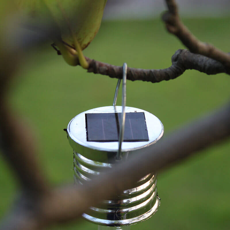 Lighteme Solar Acrylic Outdoor Decorative Light