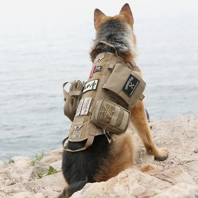 Harnais tactique pour chien Lighteme 3 couleurs réglable militaire K9 avec 3 poches détachables