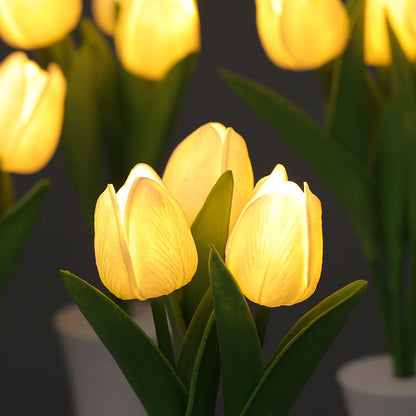 Lighteme Tulip Nachtlampe