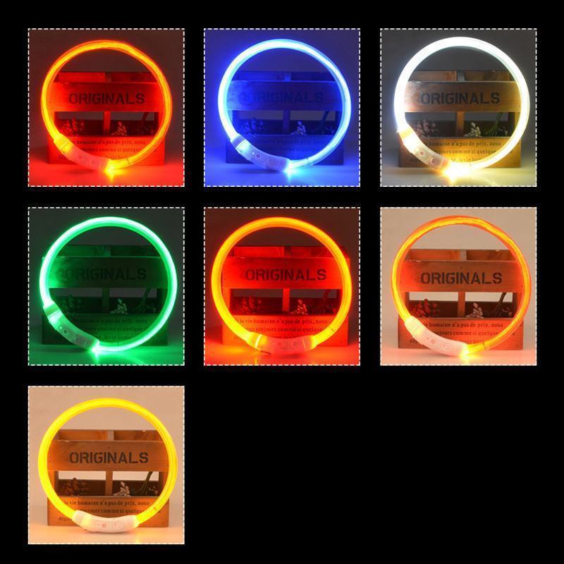 Lighteme USB-Lade-LED-Blink-Sicherheitshalsband für Hunde (7 Farben &amp; 3 Größen)