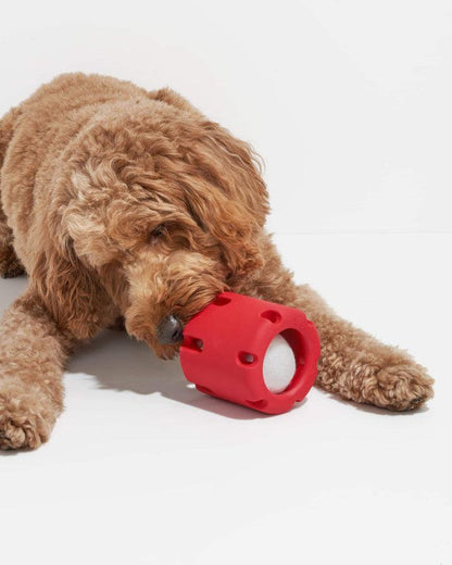 Lighteme Tennis dog toys