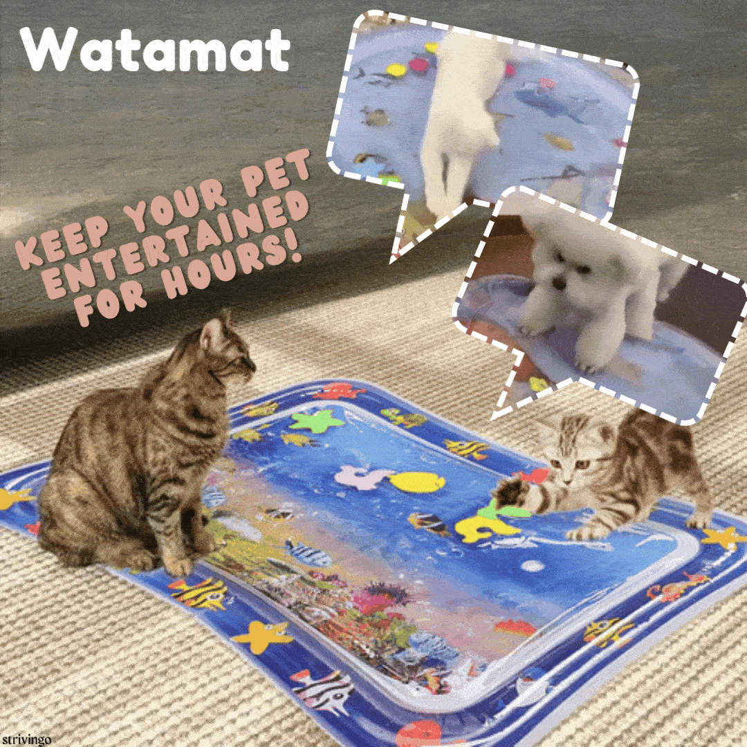 Tapis de jeu d'eau Lighteme pour chats et chiens