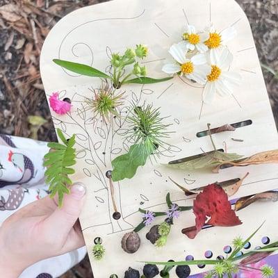 Lighteme Blumen- und Blatt-Sammelbretter | 3er-Set
