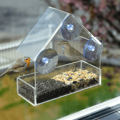 Nichoir transparent montable Lighteme