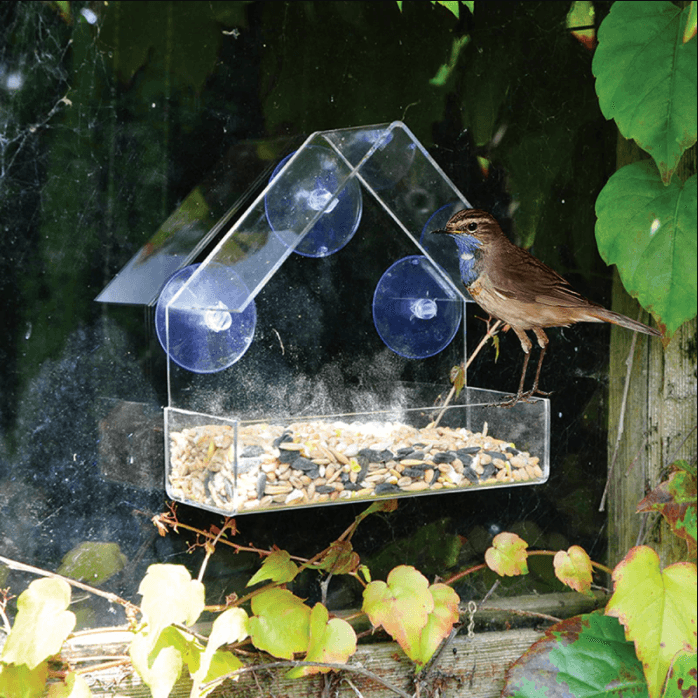 Nichoir transparent montable Lighteme