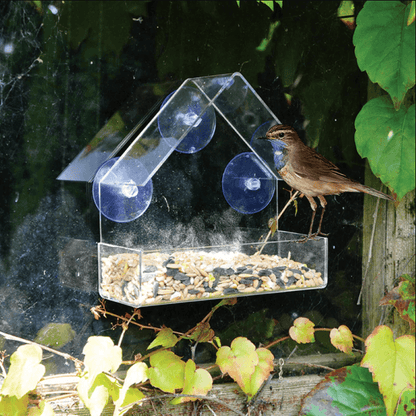 Nichoir transparent montable Lighteme