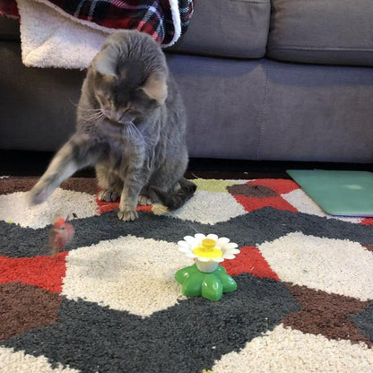 Lighteme Interactive Bird Toy For Cats (3 Types)