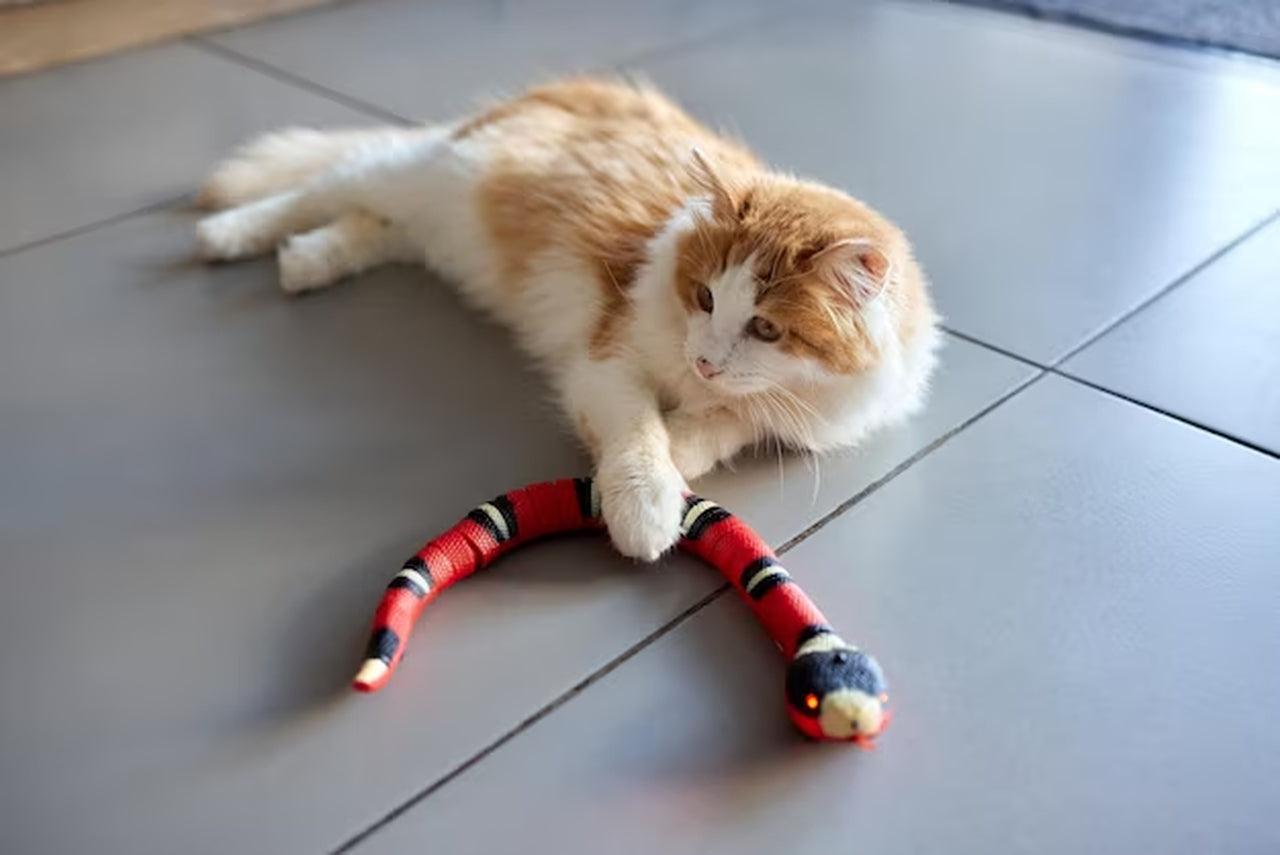 Lighteme Smart Snake Spielzeug für Ihre Katzen 