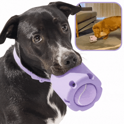 Lighteme Tennis-Kauspielzeug für Hunde