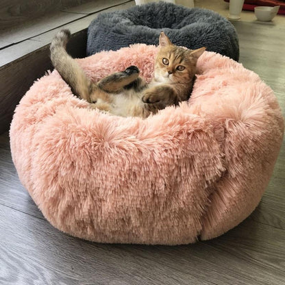 Lighteme Cozy Paws Beruhigungsbett