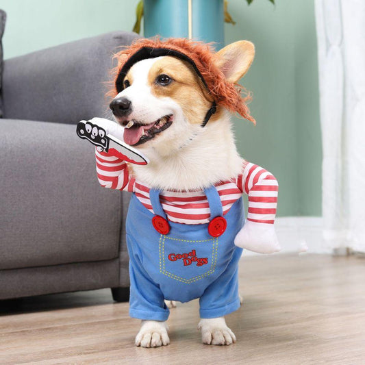 Costume d'Halloween pour chien Lighteme
