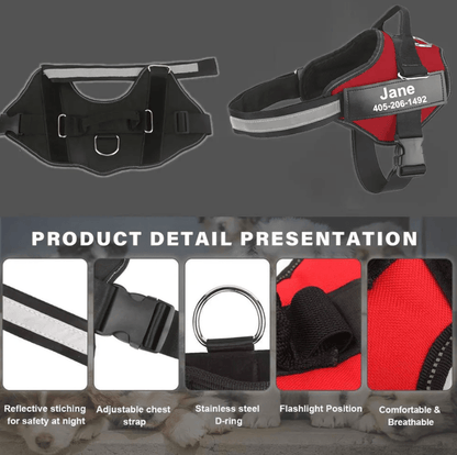 Harnais pour chien personnalisé Lighteme