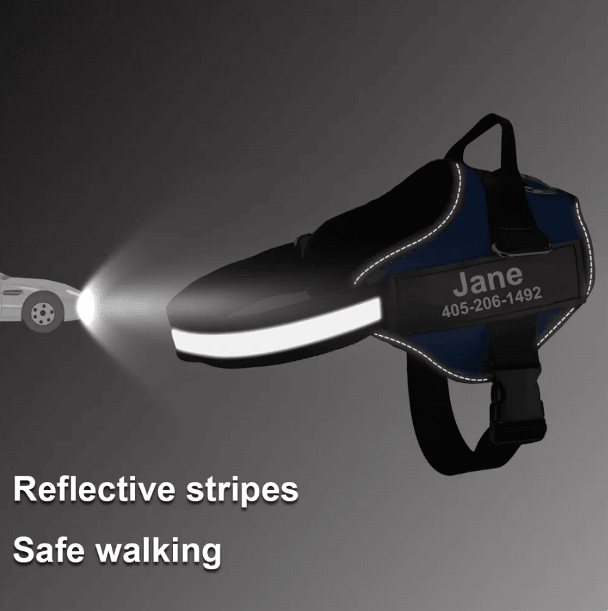 Harnais pour chien personnalisé Lighteme