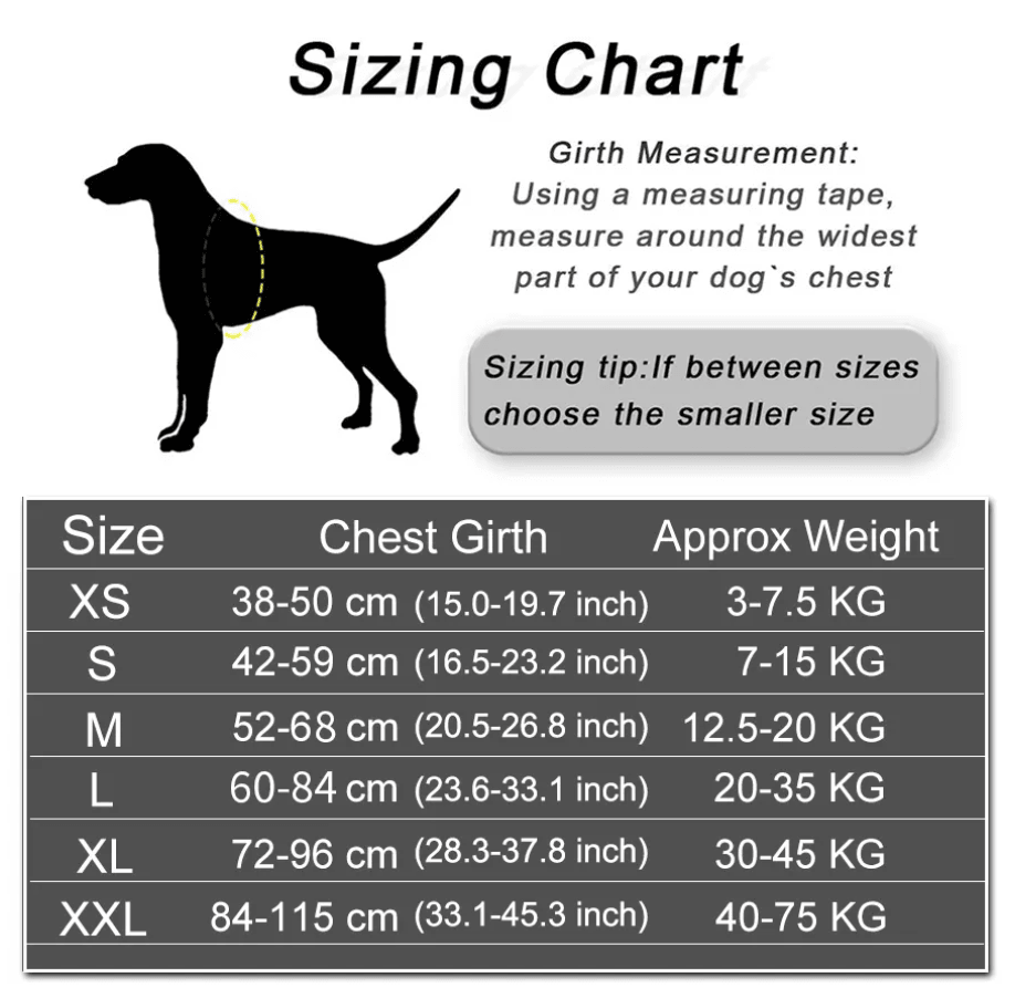 Harnais pour chien personnalisé Lighteme