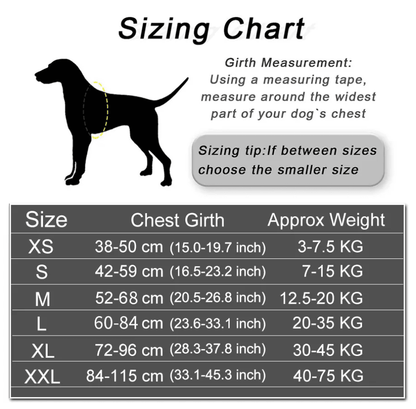 Harnais pour chien personnalisé Lighteme