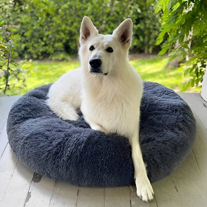 Lit pour chien Lighteme Serene Comfort pour un sommeil réparateur