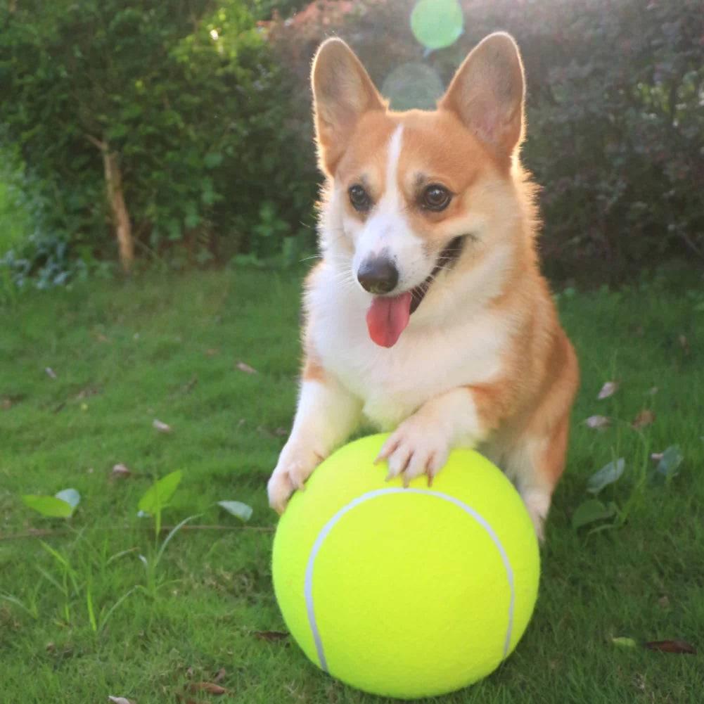 Lighteme Riesen-Tennisball für Hunde, Hundespielzeug