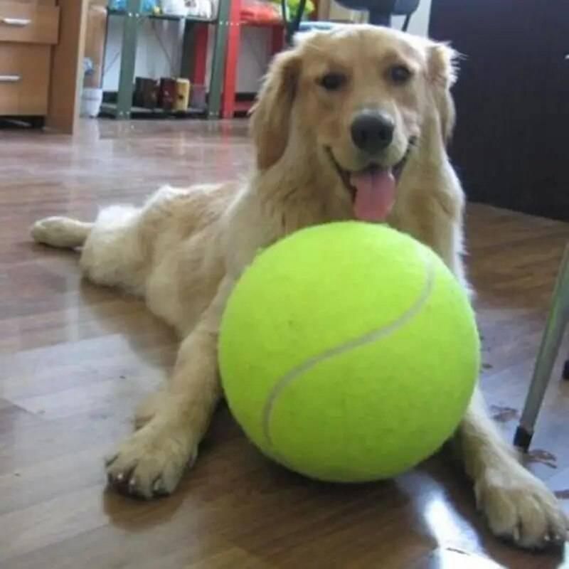 Lighteme Riesen-Tennisball für Hunde, Hundespielzeug