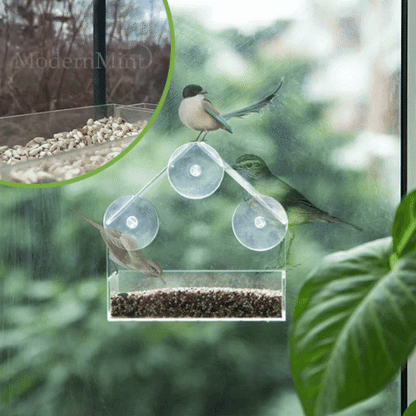 Nichoir transparent montable Lighteme
