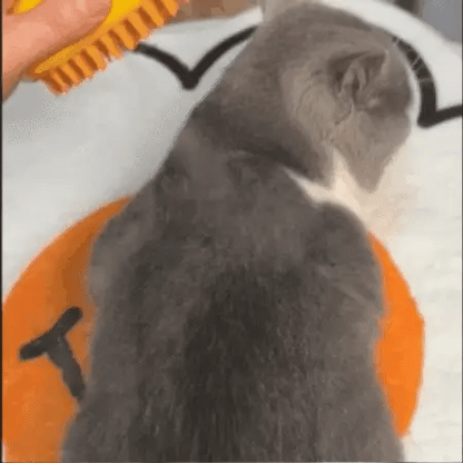 Lighteme AquaPurr Cat Grooming Brush