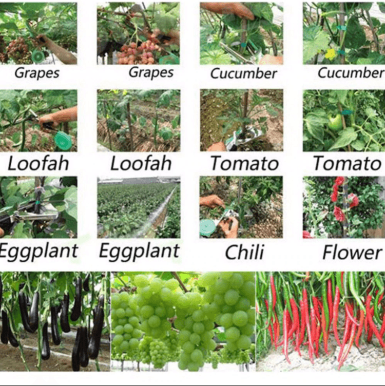 Agrafeuse pour attacher les plantes Lighteme