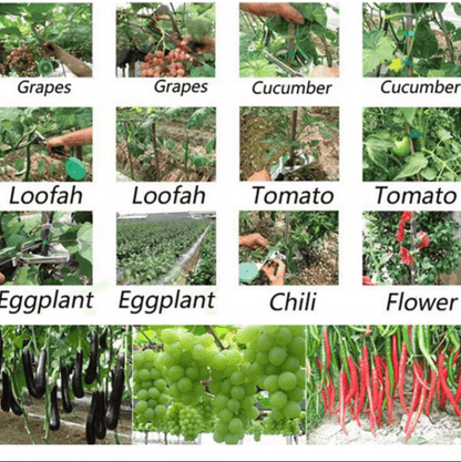 Agrafeuse pour attacher les plantes Lighteme