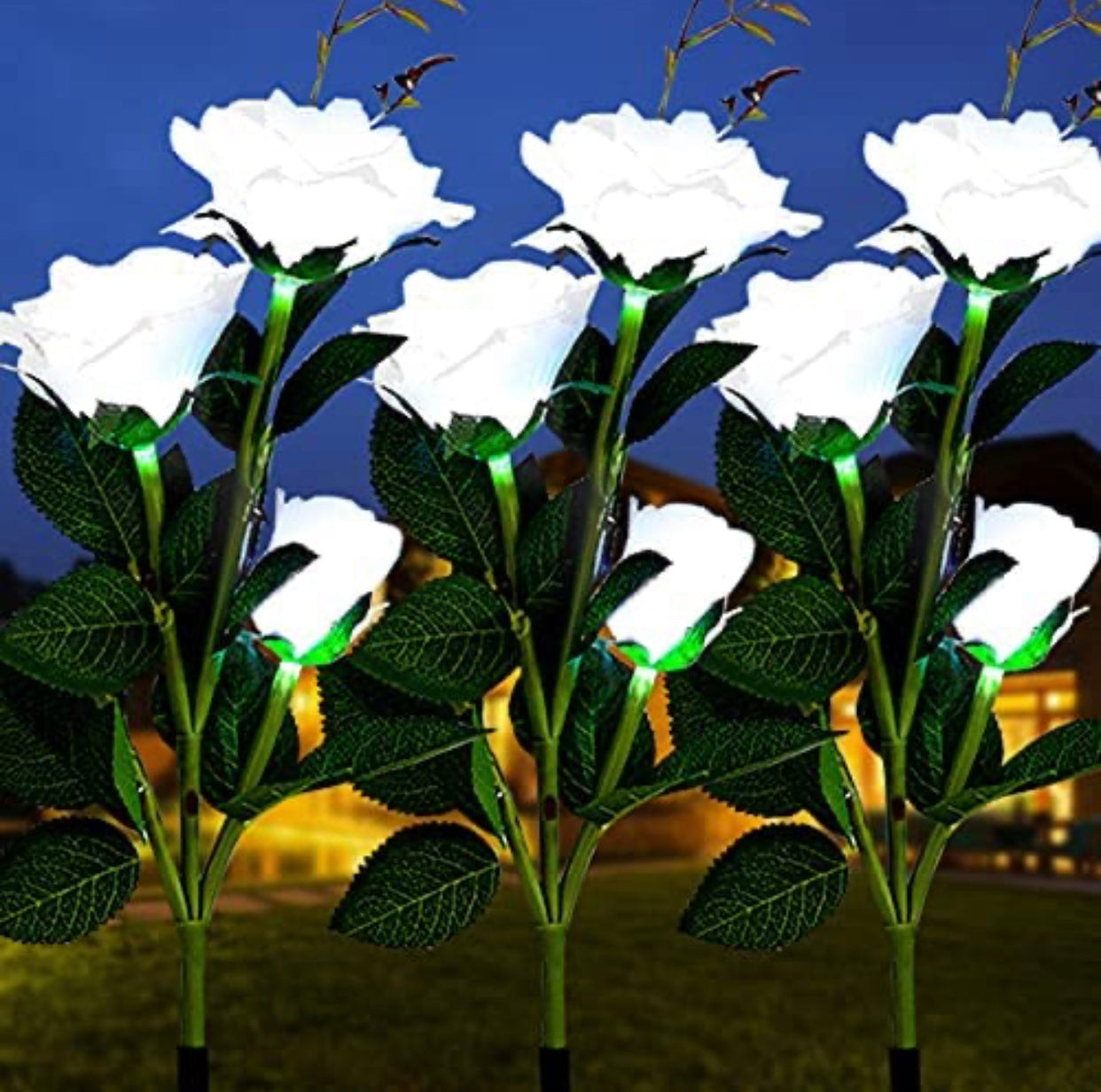 Lighteme Solar-LED-Rosenblumenlicht (2er-Pack)