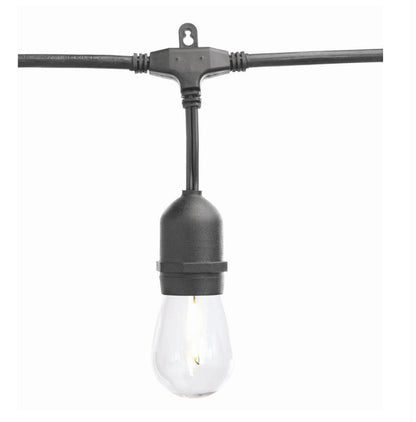 Lighteme 24 Fuß wasserdichte LED-Lichterkette, 12 Glühbirnen, Plug-In 