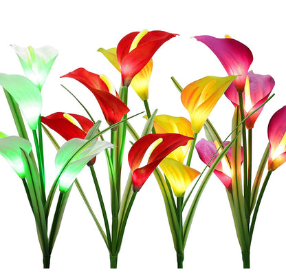 Lot de 4 lampes solaires à LED 4 couleurs Calla commun Lighteme 