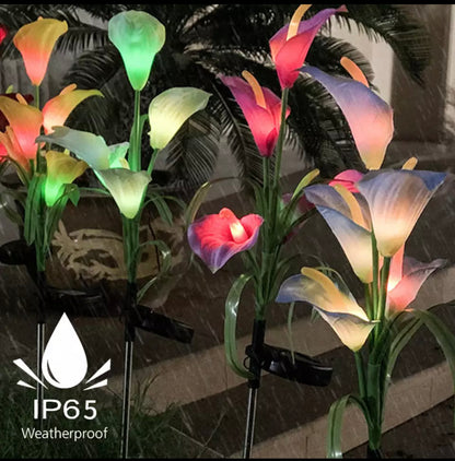 Lot de 4 lampes solaires à LED 4 couleurs Calla commun Lighteme 