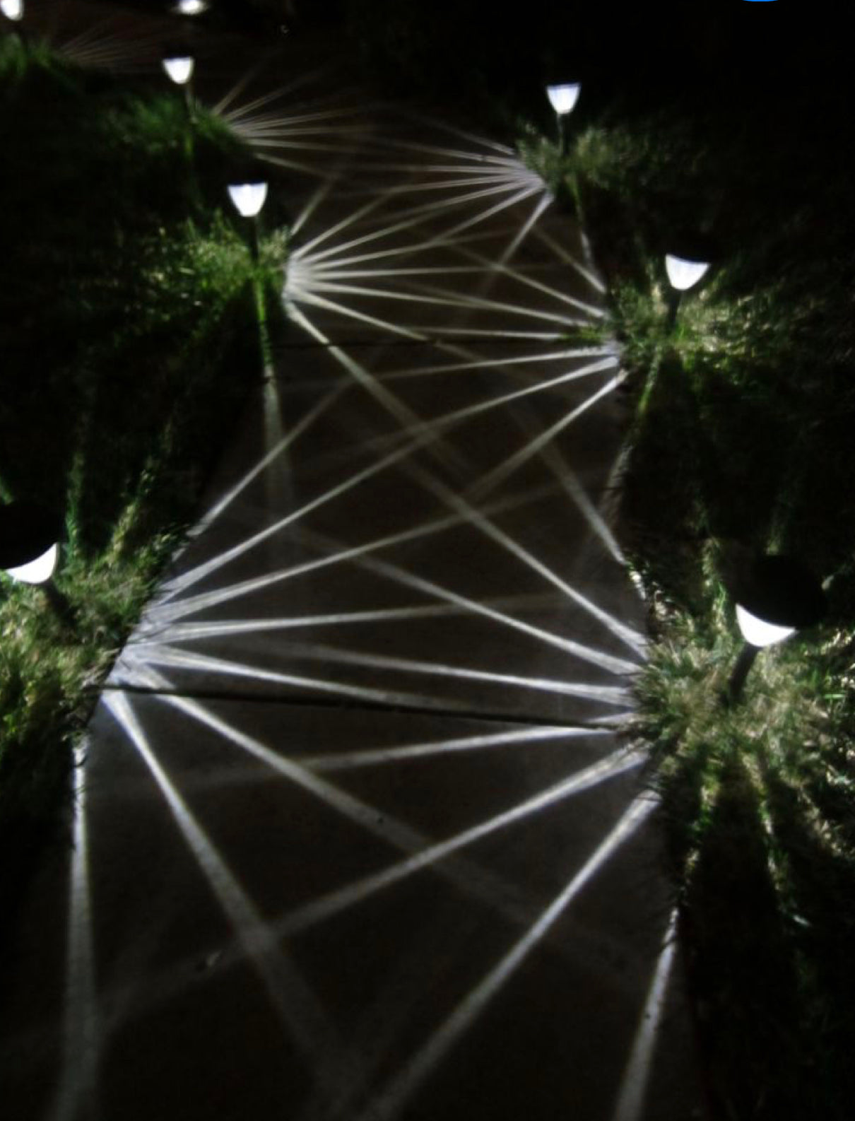 Lighteme LED Solar Pathway Lights New Model , 8-pack Powered